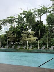 Lake Grande (D22), Condominium #502559321